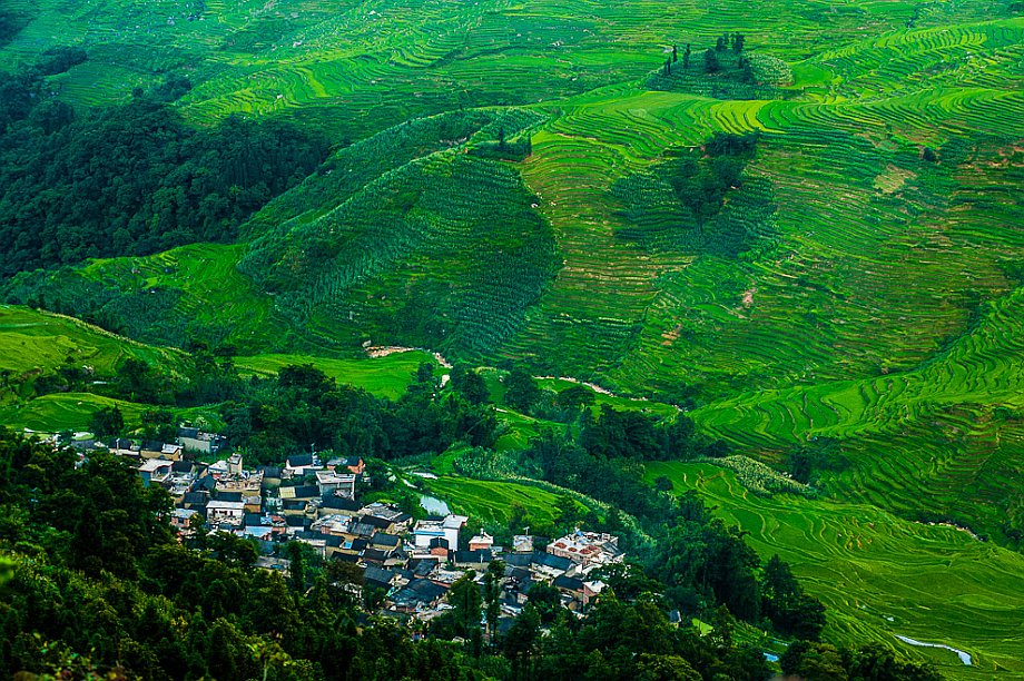 Yuanyang, tarasy ryżowe w okolicach Duoyishu (Yunnan (Chiny) 2012, część 2/2)